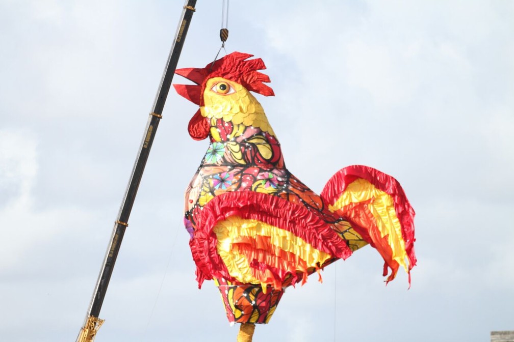 Galo Gigante no carnaval do Recife de 2017 — Foto: Aldo Carneiro/Pernambuco Press