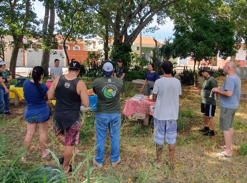 Moradores do Jardim das Rosas, em Presidente Prudente (SP), iniciaram horta comunitária — Foto: Cedida