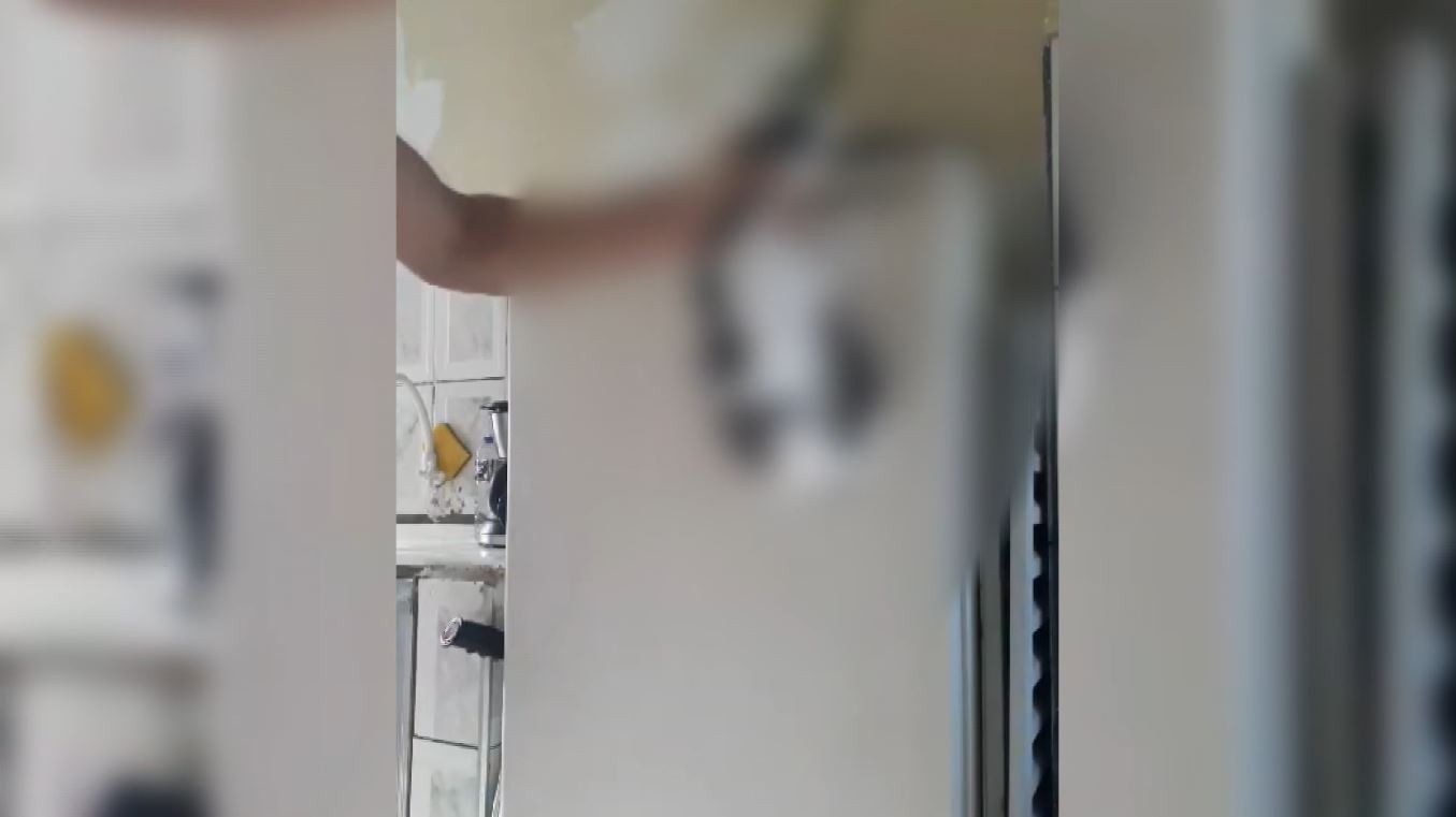 Homem espanca gata em Franca, SP, e filma agressão para mostrar à mulher
