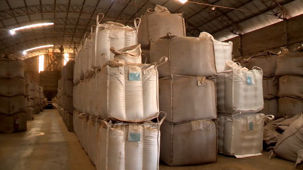 Gargalo logístico impede a saída de cerca de 800 mil sacas de café do Espírito Santo. — Foto: TV Gazeta