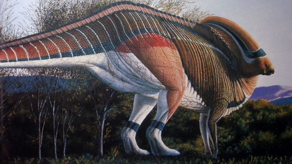 Canto dos Dinossauros, em SP, tem tiranossauro de 4,5 m - 07/10/2022 -  Criança - Guia Folha