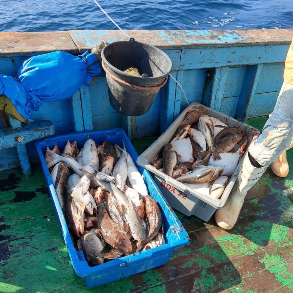 Polícia Ambiental Marítima apreende rede de pesca irregular em São