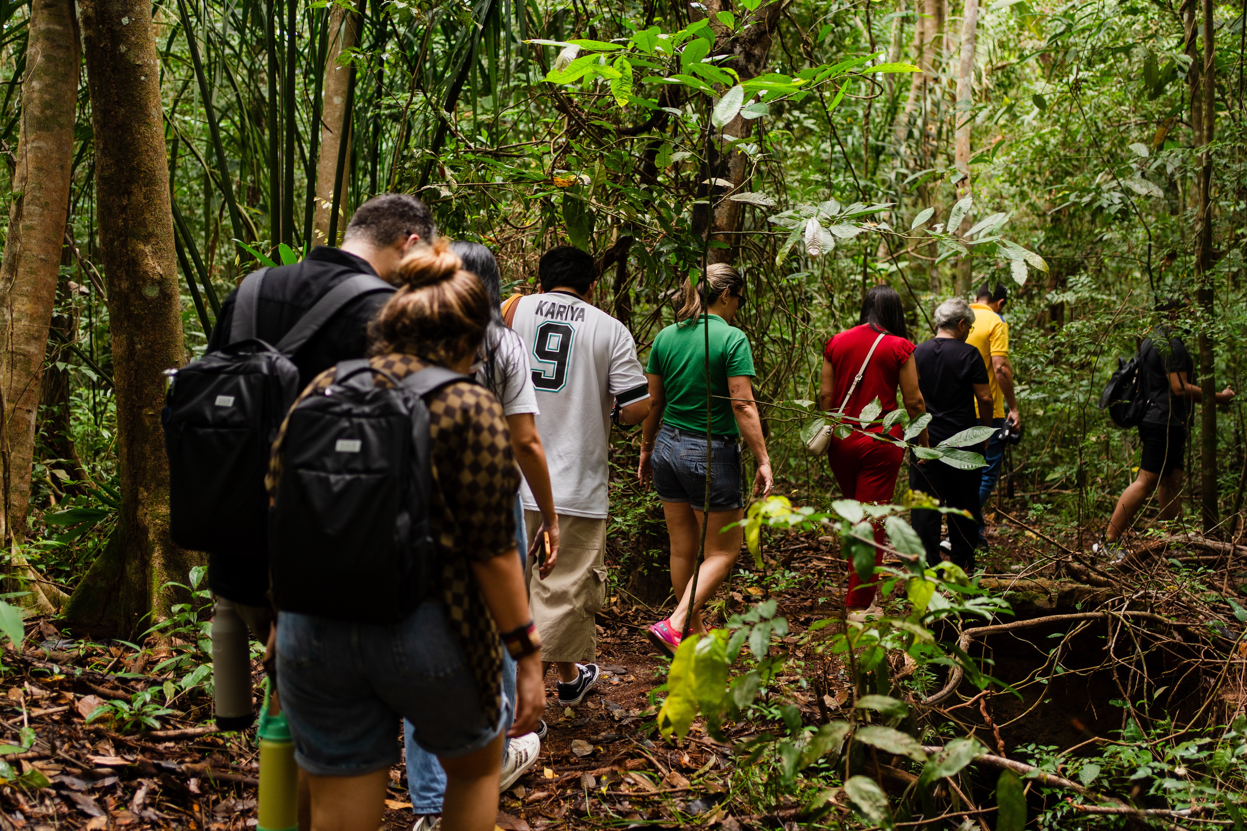 De chocolate na floresta a cachaça de jambu: roteiros oferecem experiências amazônicas durante o Círio 2026