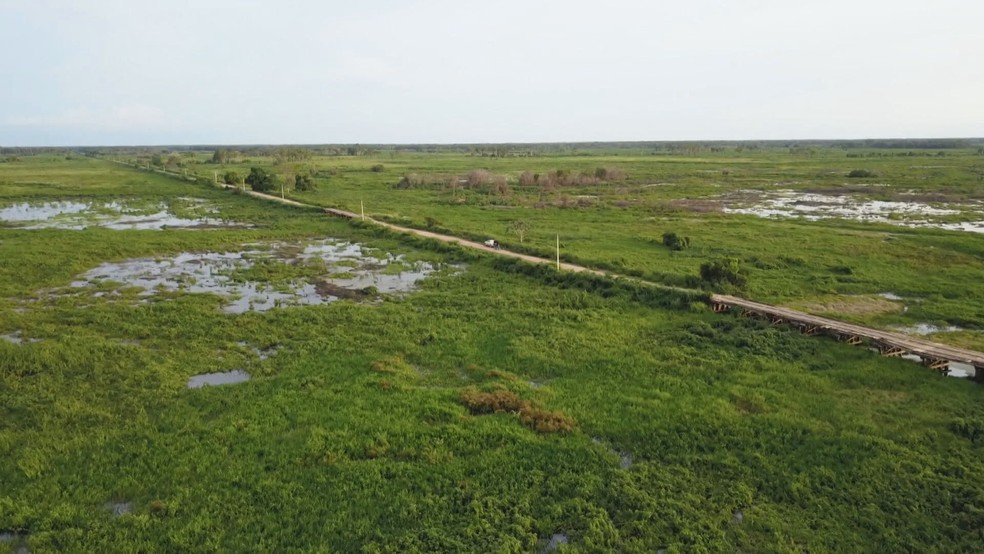 A Rodovia Transpanteneira é a principal corredor turístico do norte do Pantanal. Em 2020, foi a região mais atingida pelas queimadas — Foto: Globo Repórter