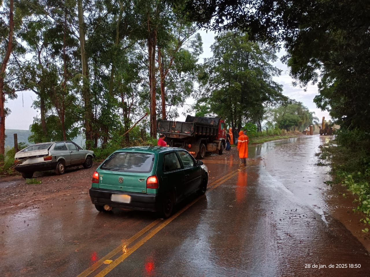 Chuva causa estragos e queda de árvores em cidades da região de Itapetininga