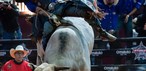 Final da etapa de Americana da PBR reuniu dez competidores na noite deste domingo (7) — Foto: Thomaz Marostegan