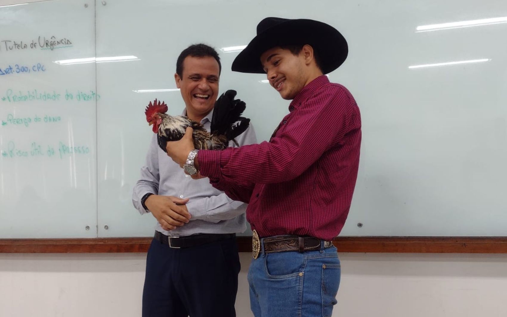 Estudante de direito presenteia professor com galo, em Goiás 
