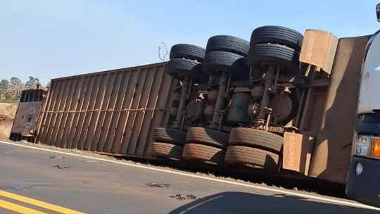 Caminhão boiadeiro tomba na MGC-497 e deixa animais mortos entre Prata e Uberlândia