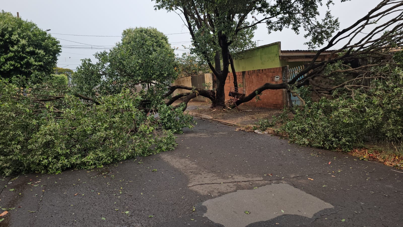 Campo Grande registra maior volume de chuva do estado: 42 milímetros em 12 horas