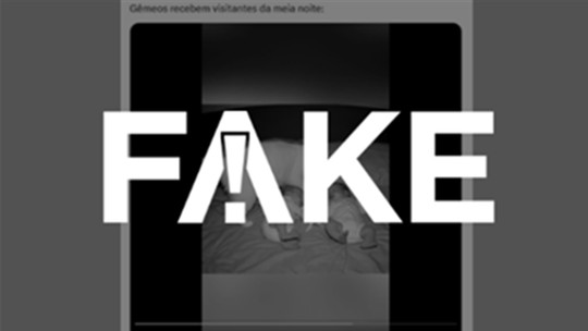 É #FAKE vídeo que mostra gata colocando filhote entre dois bebês; cena foi criada com inteligência artificial - Detectores de IA apontaram que material é sintético. Leitores sugeriram a checagem pelo WhatsApp do Fato ou Fake; veja o passo a passo da verificação.
