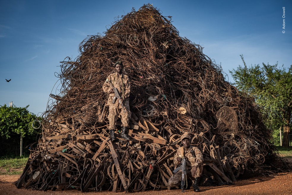 Pilha de armadilhas usadas para caça ilegal é reunida por agentes ambientais em um parque nacional de Uganda. — Foto: Adam Oswell – Wildlife Photographer of the Year – People’s Choice Award 2026