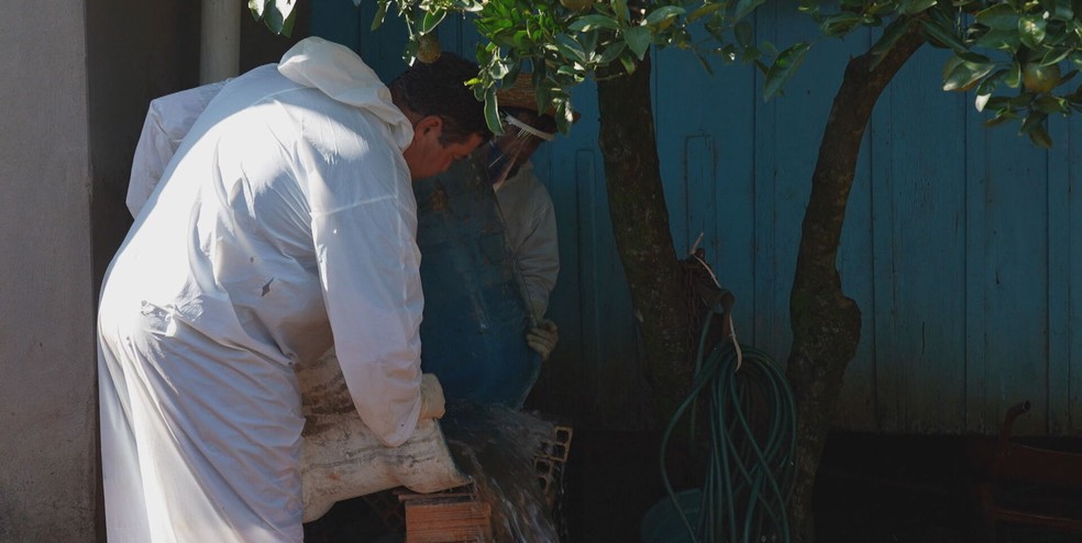 Em ação de combate à dengue, agentes esvaziam caixa d'água com água suja parada no RS — Foto: Reprodução/TV Globo