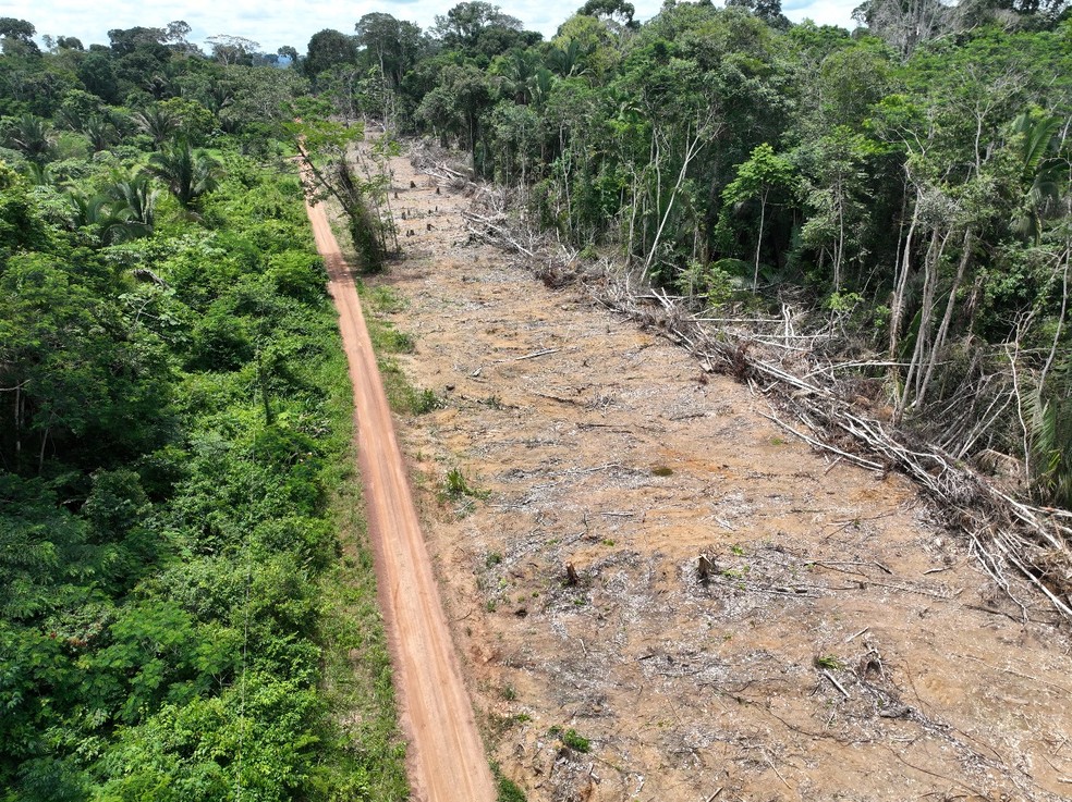 Operação contra crimes ambientais termina com prisão de estuprador — Foto: Reprodução/PF