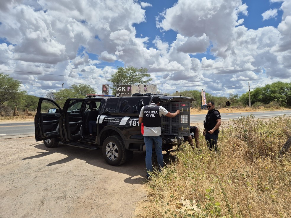 Megaoperação prende mais de 500 pessoas investigadas por tráfico de drogas e outros crimes na Bahia — Foto: Polícia Civil