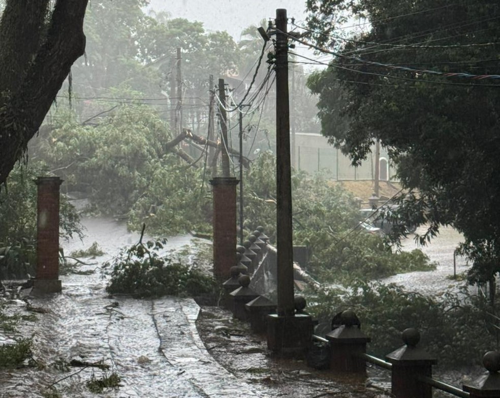 Parque do Mirante em Piracicaba (SP) após chuva forte nesta sexta-feira (12) — Foto: Prefeitura de Piracicaba/Divulgação