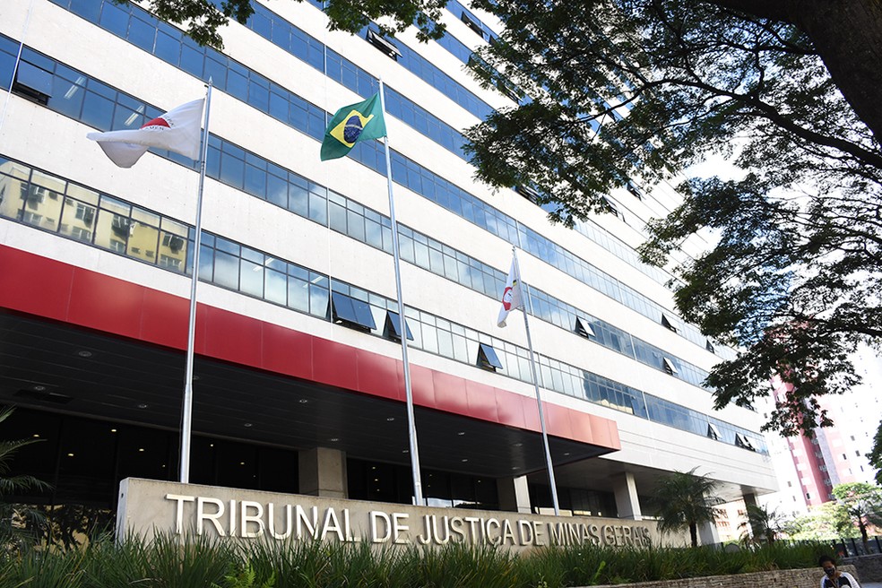 UFMG abre inscrições para Especialização em Direito Administrativo -  Tribunal de Contas do Estado de Minas Gerais / TCE-MG
