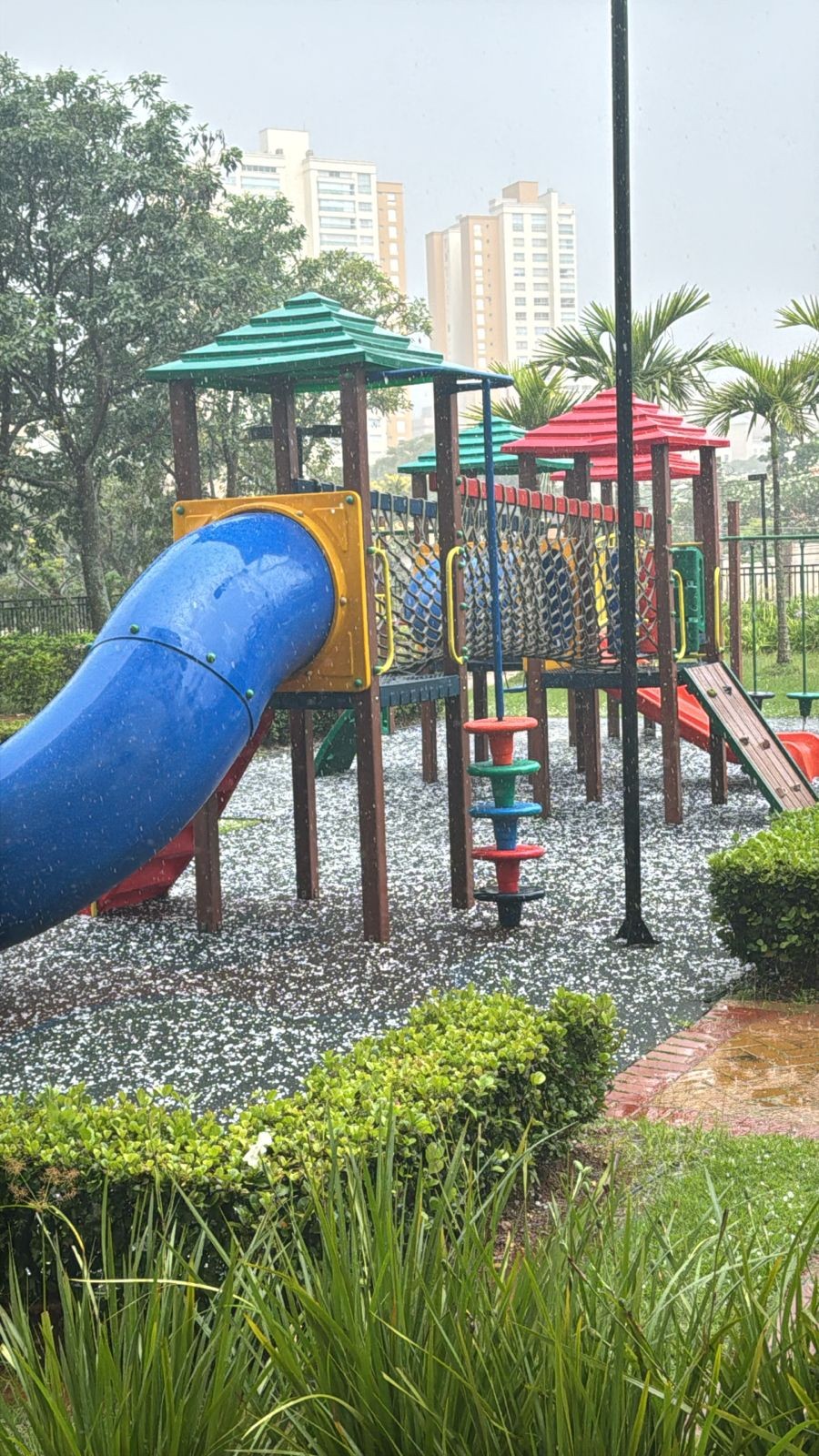 VÍDEO: Campinas registra chuva de granizo e queda de árvores; bosque é fechado 