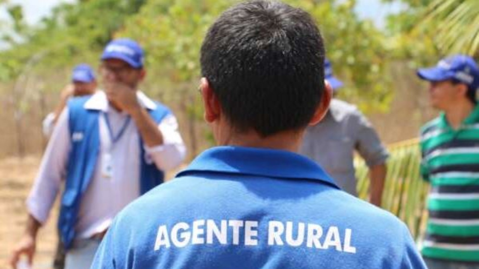 Ceará abre seleção para agricultores com 801 vagas e bolsa de R$ 1,5 mil