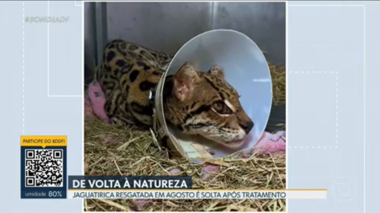 VÍDEOS: Bom Dia DF de sexta-feira, 24 de outubro de 2025