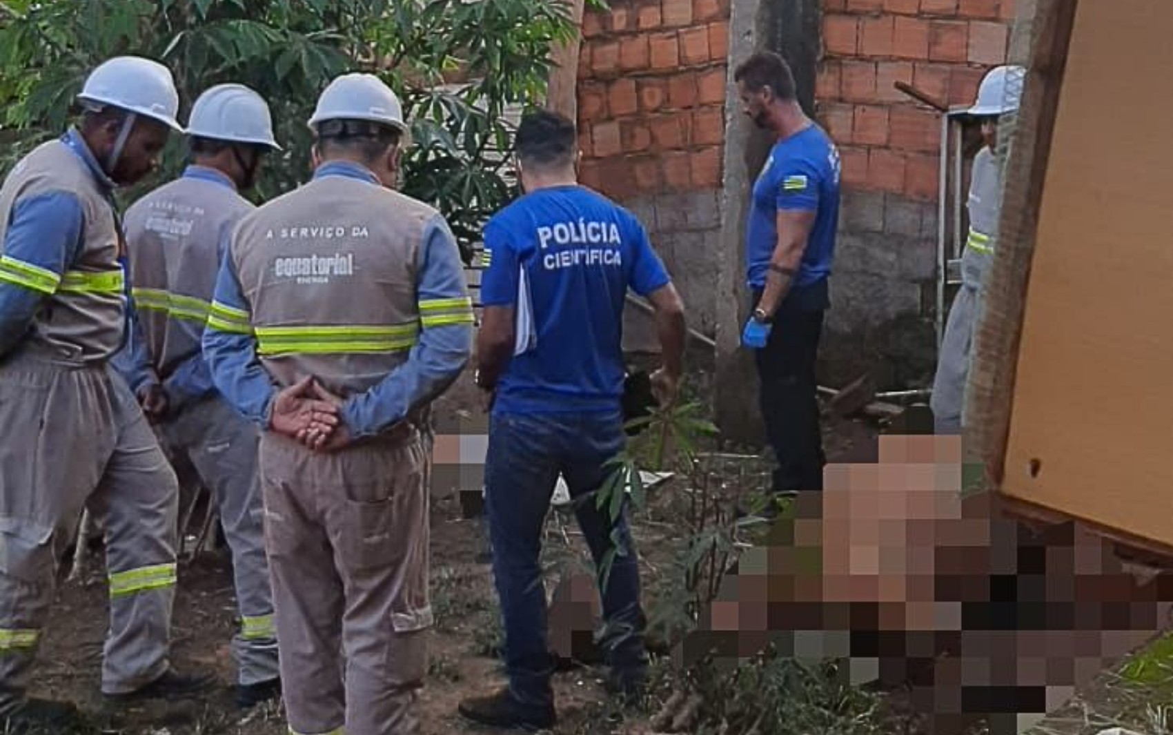 Homem, cachorro e cavalo morrem após levarem choque de fio de ligação clandestina de energia que estava solto em lote, diz polícia 