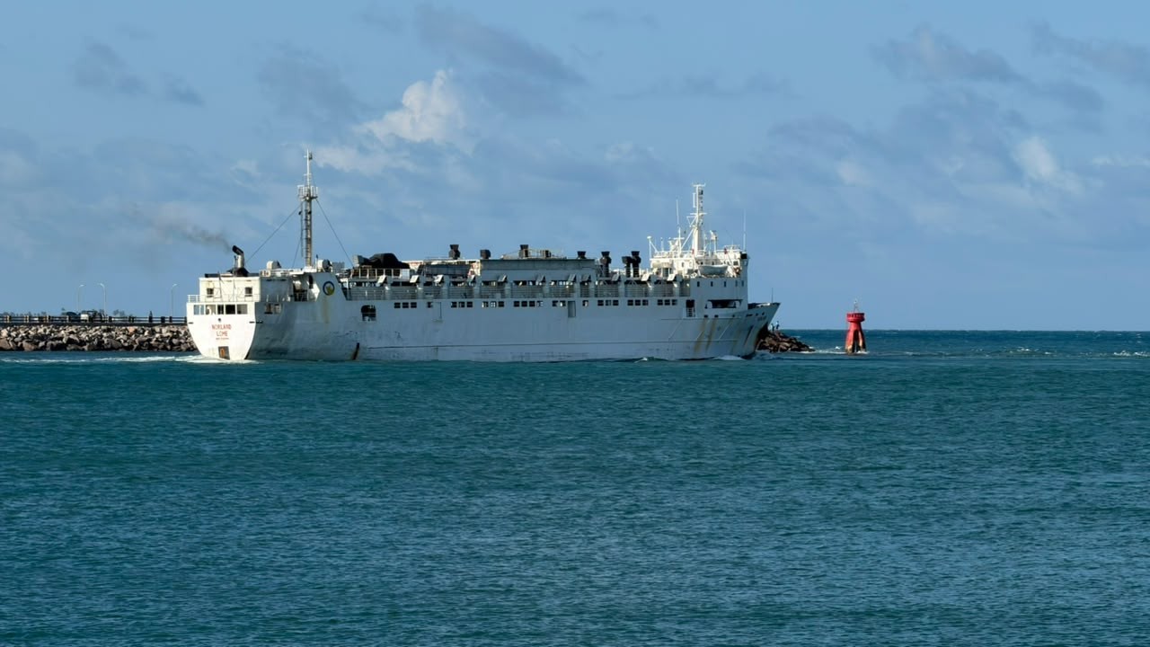 Porto de Natal embarca 2,7 mil bois para Arábia Saudita em operação de R$ 20 milhões