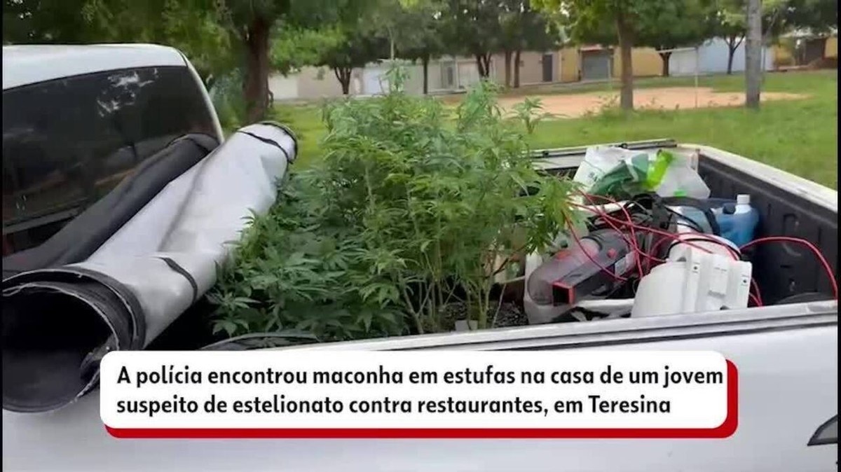 Polícia prende em Teresina suspeitos de mais de R$ 8 mil em golpes contra restaurante de comida oriental