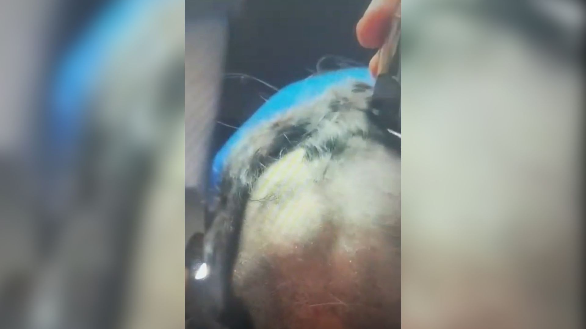 Homem é preso em MG após raspar o cabelo da ex-namorada e filmar o crime