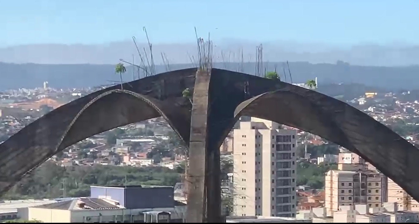 Jardim suspenso na 'Aranha do Vergueiro'? Árvores crescem em obra abandonada que virou cartão postal em Sorocaba
