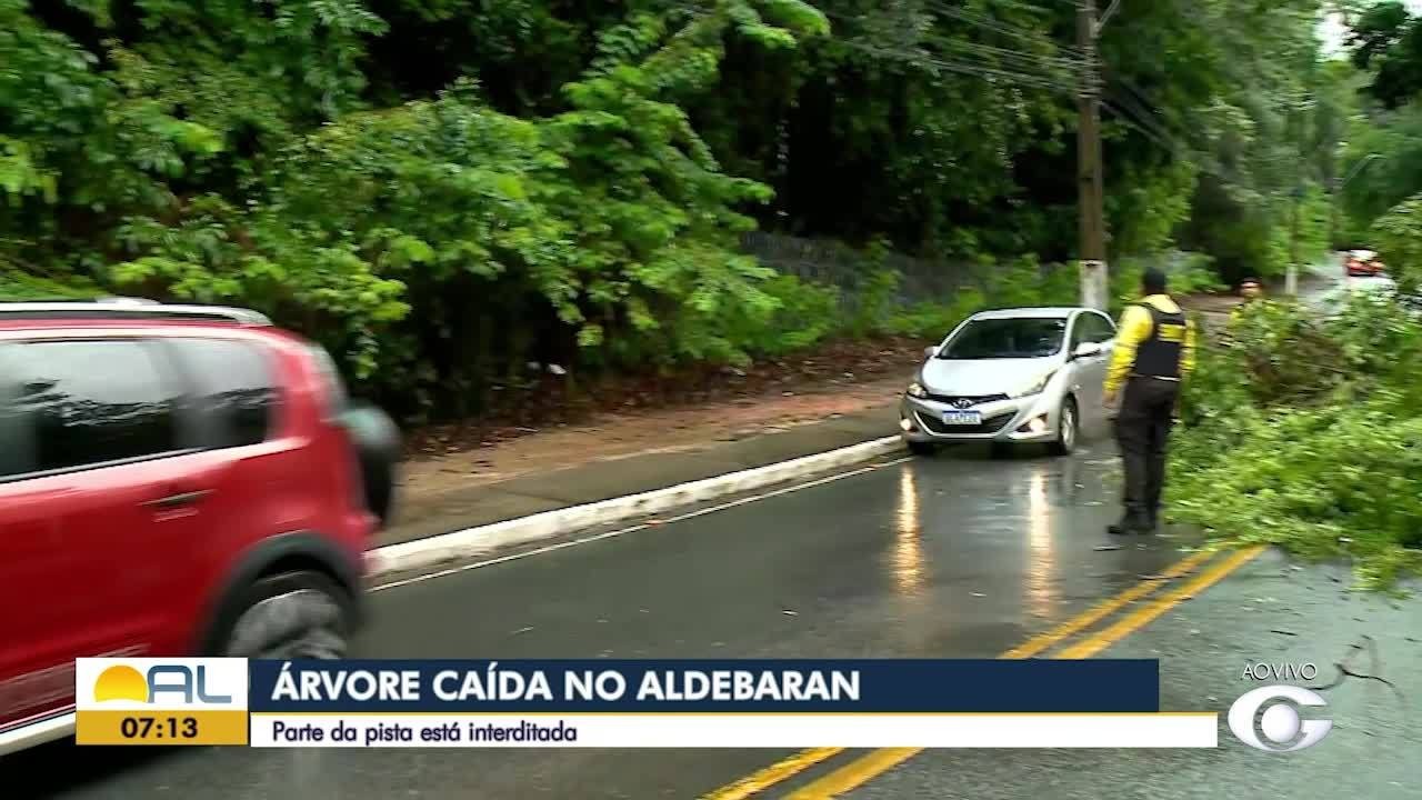 VÍDEOS: Bom Dia Alagoas de terça-feira, 20 de maio