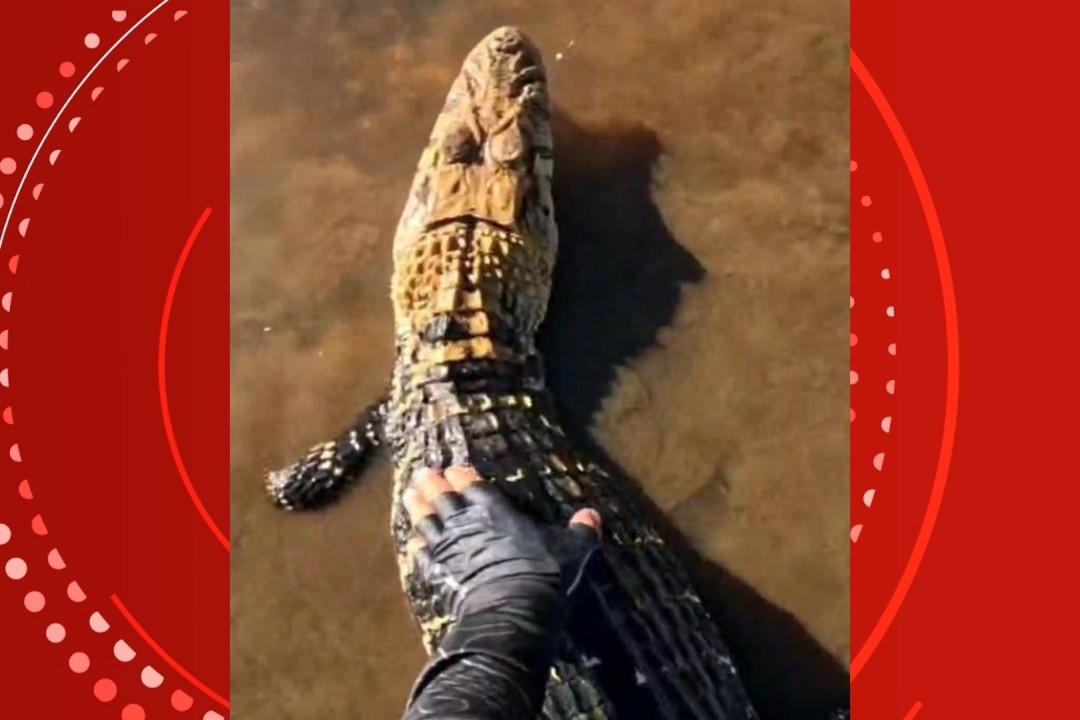 Você Não Tá Convidada pro Meu Bat Mitzvá!