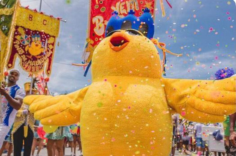 Desfile do Pinto da Madrugada deve atrair mais de meio milhão de pessoas para a orla de Maceió — Foto: Ascom Pinto da Madrugada