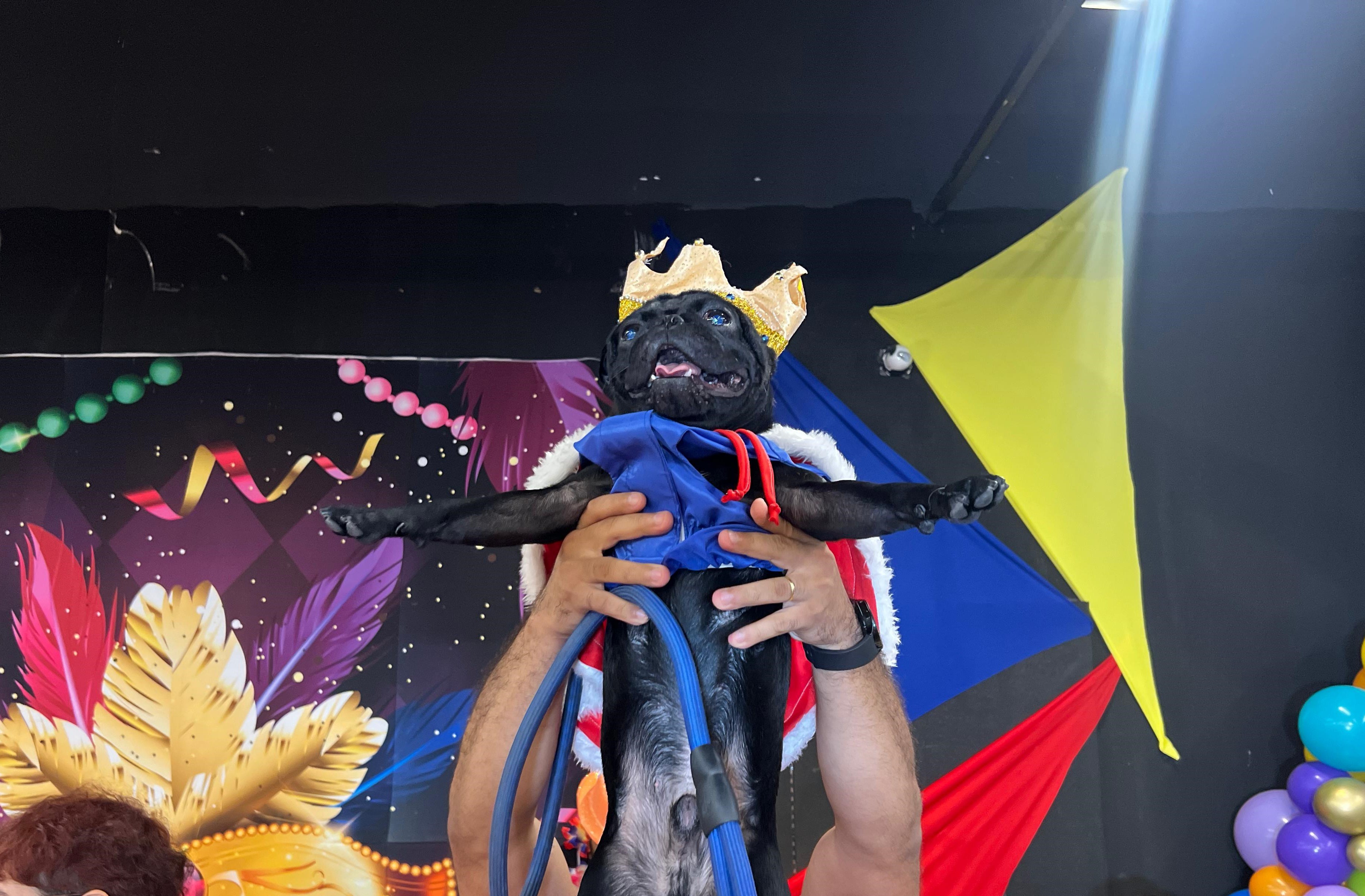 Você Não Tá Convidada pro Meu Bat Mitzvá!