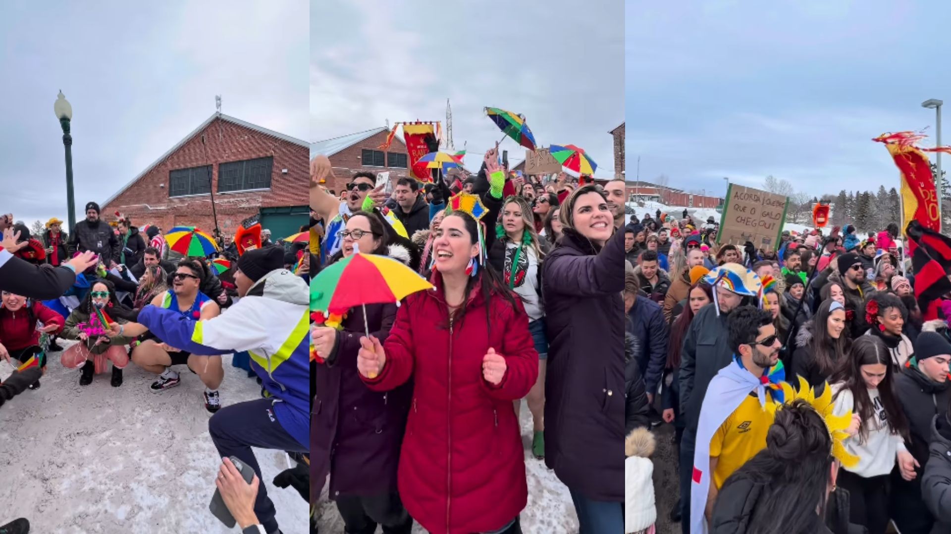 No gelo e ao som de frevo, bloco leva tradição do carnaval de Pernambuco ao Canadá