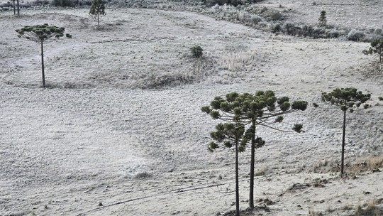 Onda de frio leva país a mínimas negativas, com -7°C no Sul; veja as cidades com menores temperaturas - A menor mínima foi vista em cidades de Santa Catarina, em cidades que os termômetros chegaram a -7,7°C. Para se ter uma ideia, isso é tão frio quanto o inverno na Noruega.
