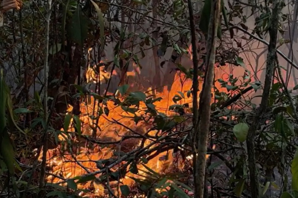 Incêndios florestais avançam há mais de duas semanas em Itacoatiara, destroem plantações e ameaçam casas