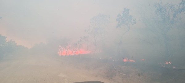 Chuva apaga incêndio na Apa Alter do Chão; imagens de satélite mostram  evolução das chamas, Santarém e Região