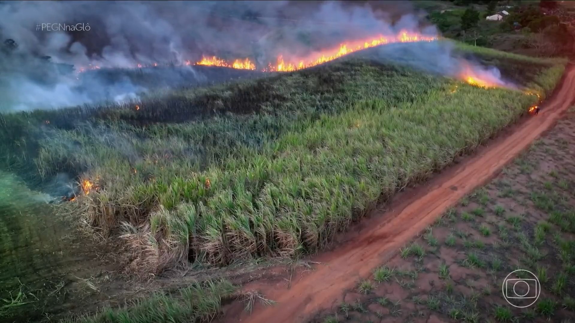 Gel feito de algas por brasileiro vira nova aposta contra incêndios