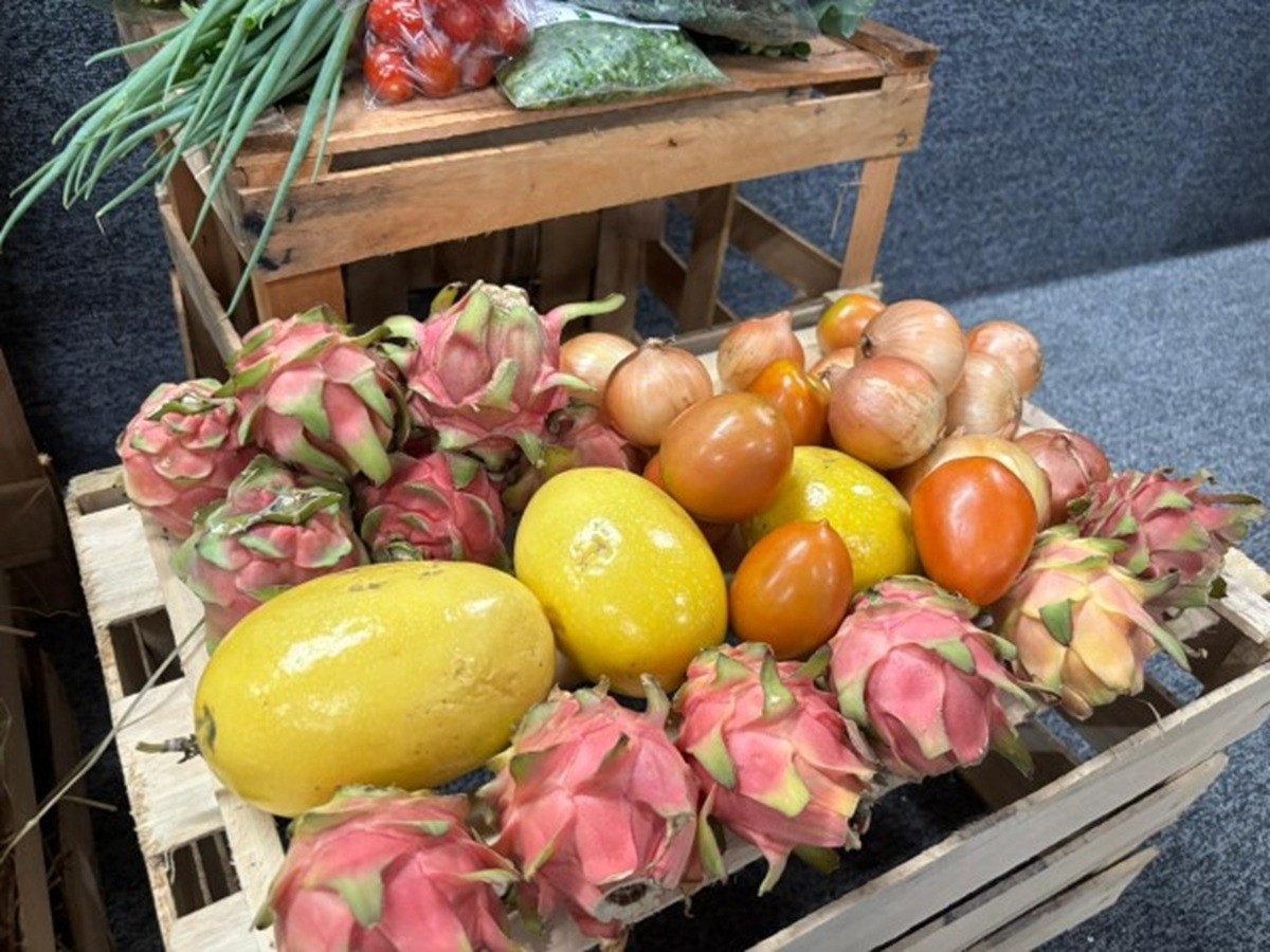 Programa de Aquisição de Alimentos passa a ser oferecido em Presidente Prudente