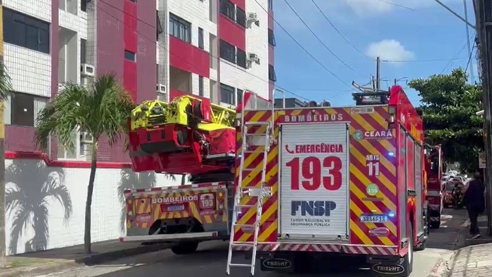 Após controlar as chamas, equipe do Corpo de Bombeiros realiza trabalho de rescaldo. — Foto: Kilvia Muniz/Sistema Verdes Mares (SVM)