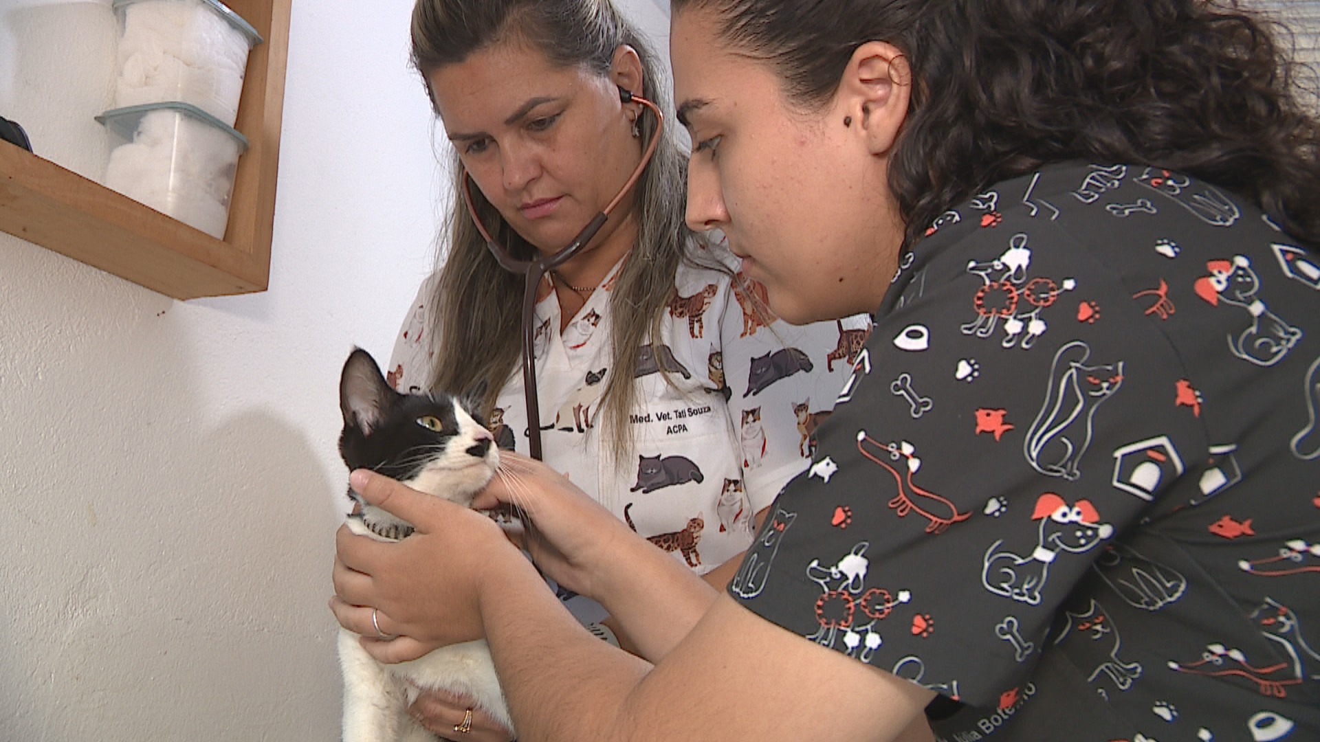 Conheça o SUS Animal: serviço voluntário no RS oferece veterinário gratuito para tutores de baixa renda