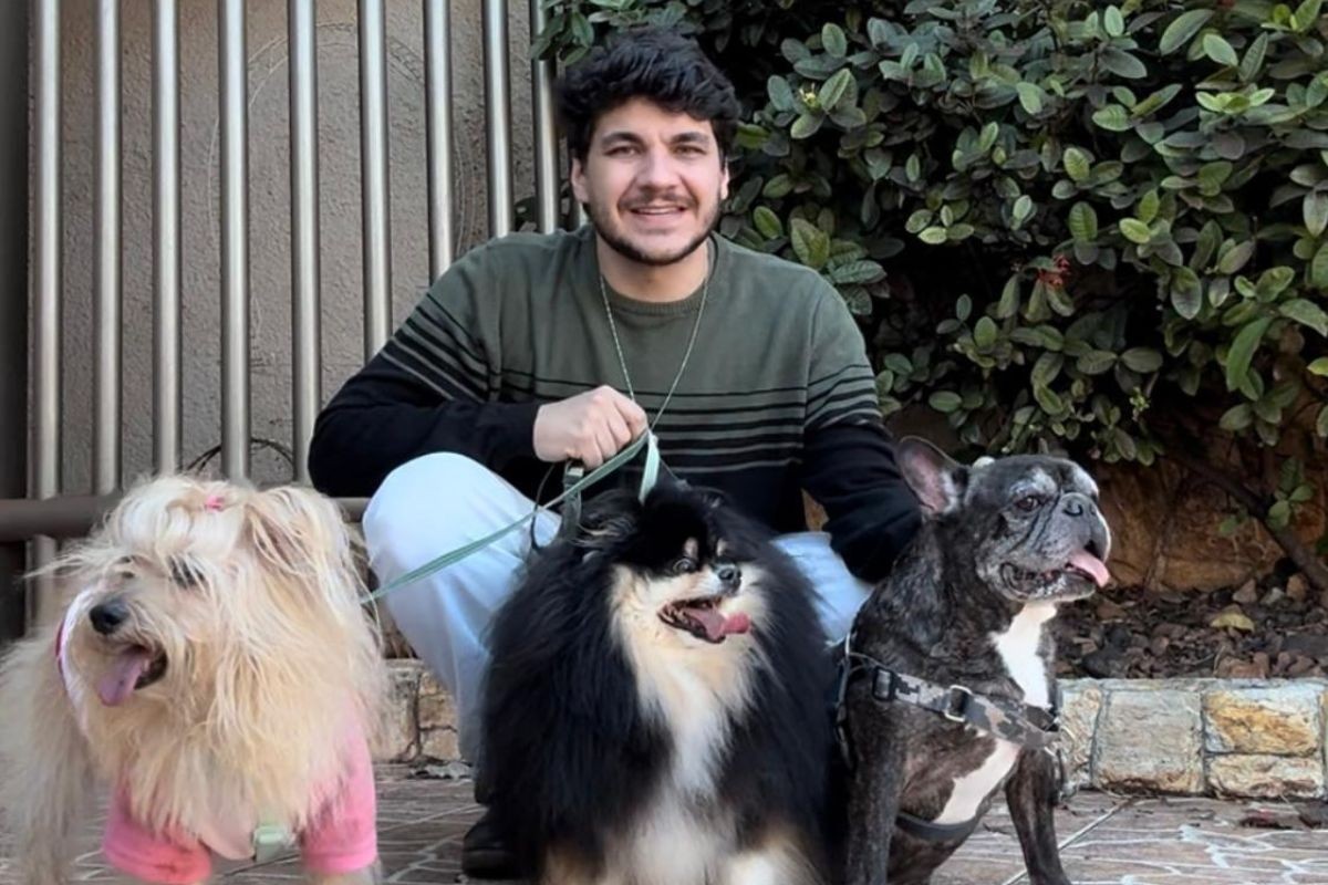 Skincare pet: veterinário de SP usa redes sociais para ensinar cuidados com a pele de cães e gatos