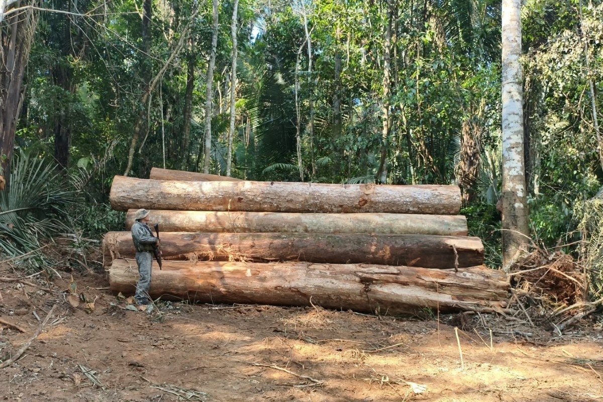 Mais de 100 toras de madeira em área de desmatamento ilegal são apreendidas em MT
