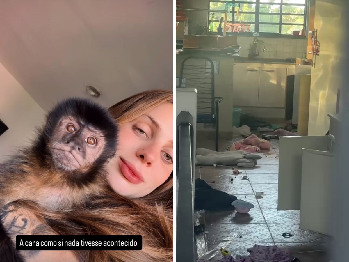 'Achamos que era ladrão', diz vizinha sobre confusão com macaco que invadiu casas no interior de SP