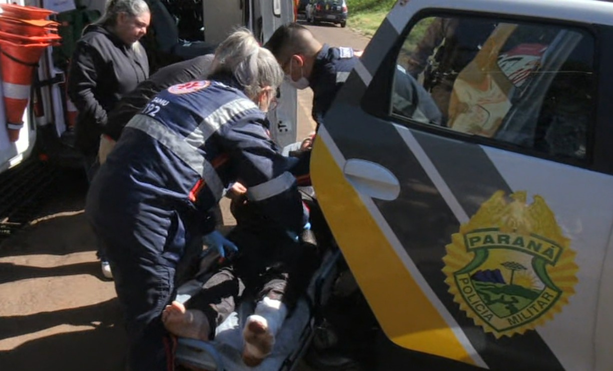 Cães da raça pitbull que atacaram idosos em Cascavel são capturados e tutor dos animais se apresenta na delegacia 