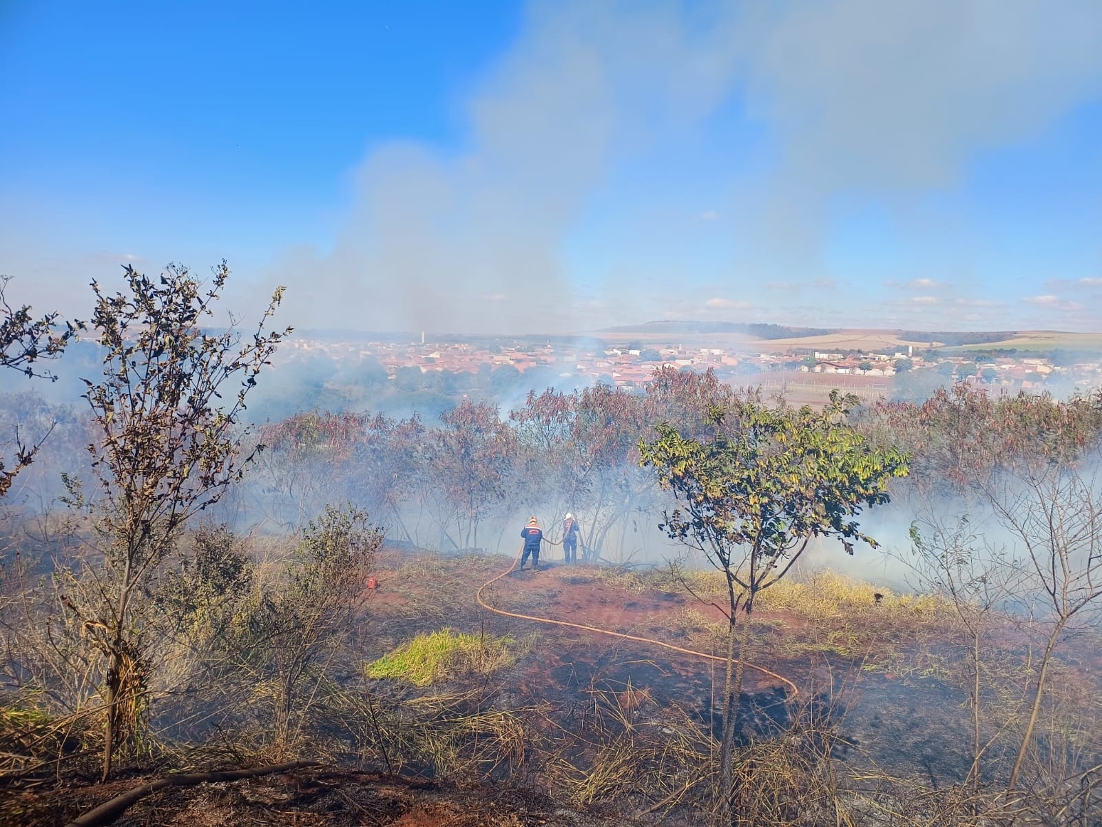 Incêndio atinge área de 20 mil metros quadrados às margens de rodovia em Cordeirópolis
