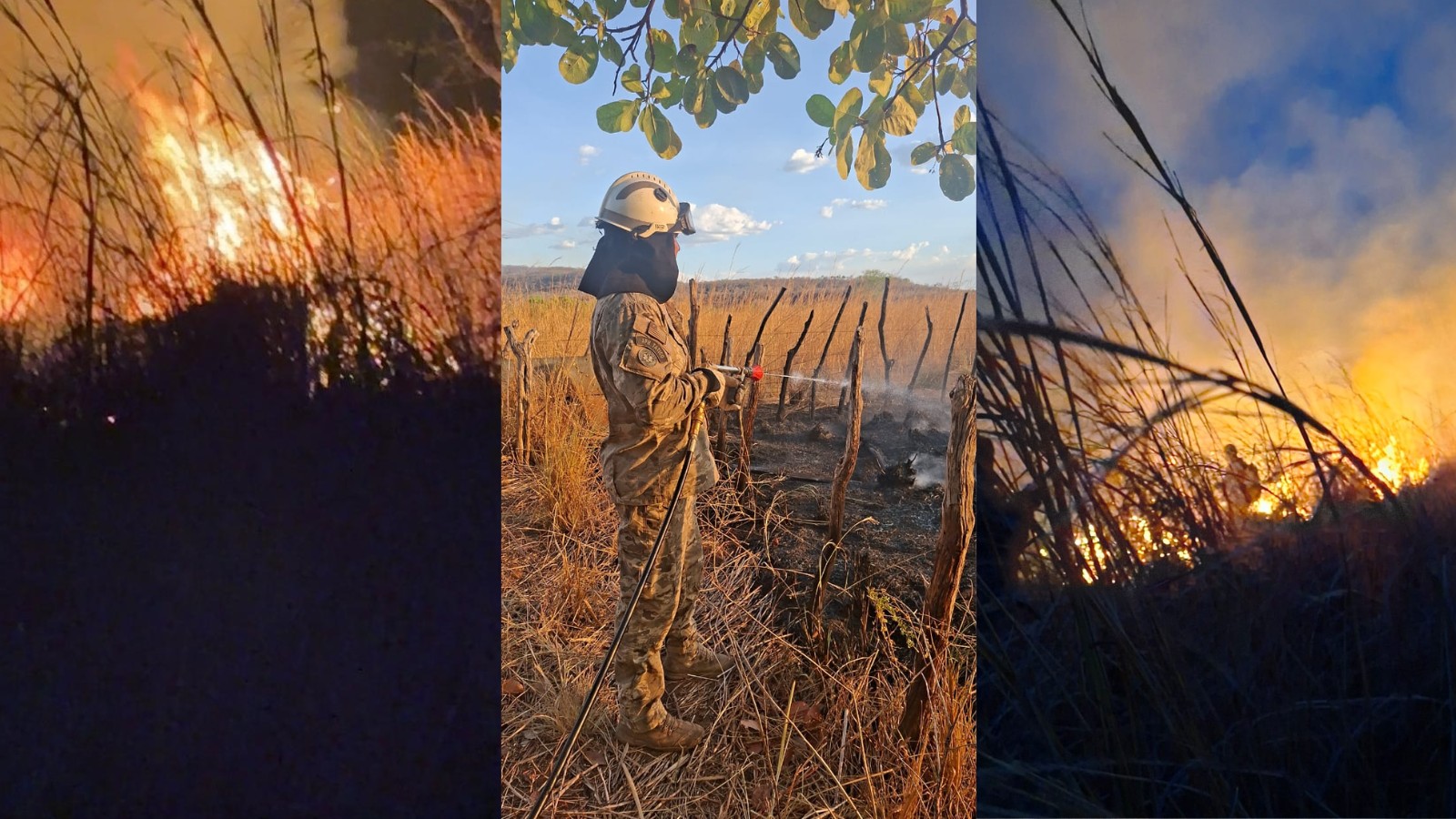 Incêndio que atinge cidade no PI está em área controlada, diz Corpo do Bombeiros; fogo se aproximou de casas