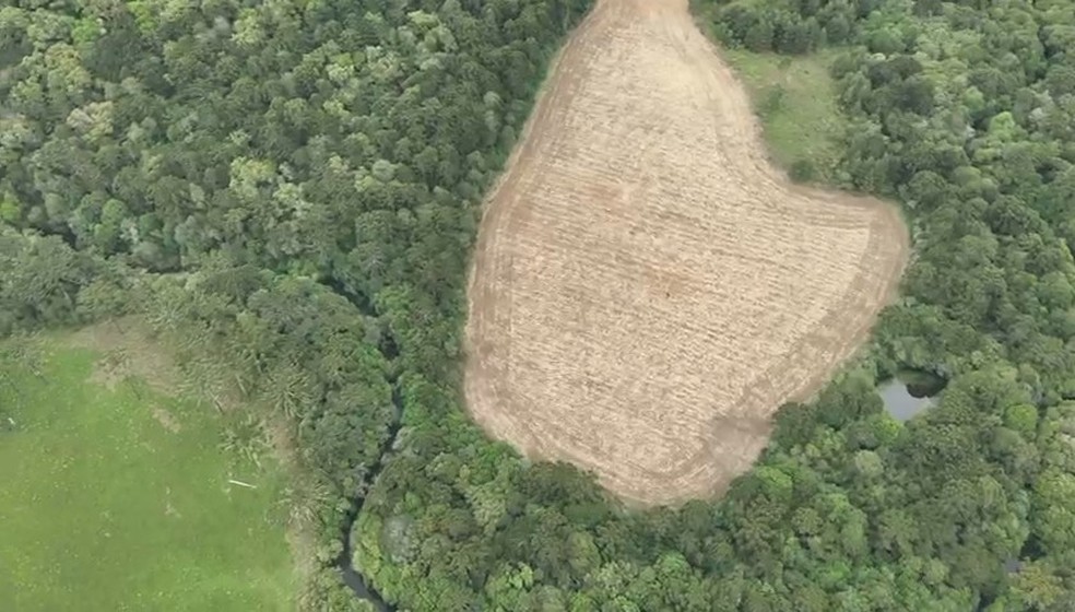 Homem encontrado fugindo por fazenda — Foto: Polícia Civil