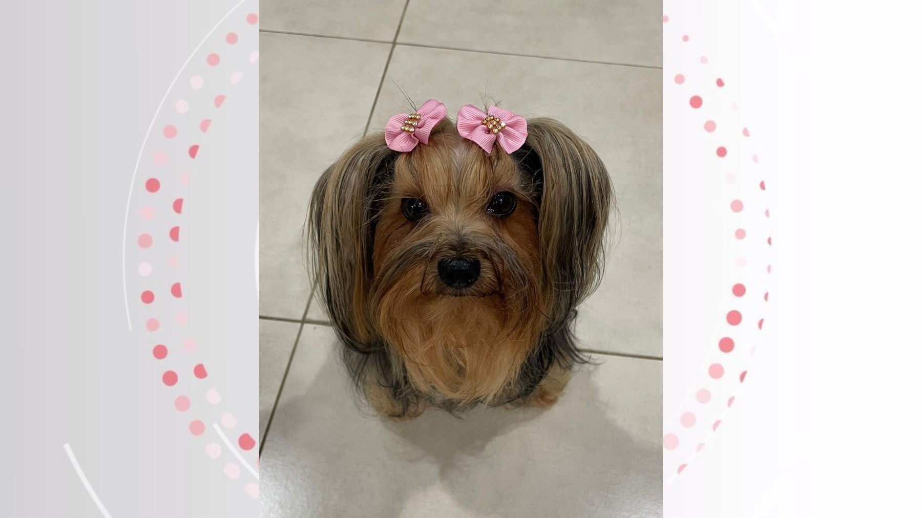 Você Não Tá Convidada pro Meu Bat Mitzvá!