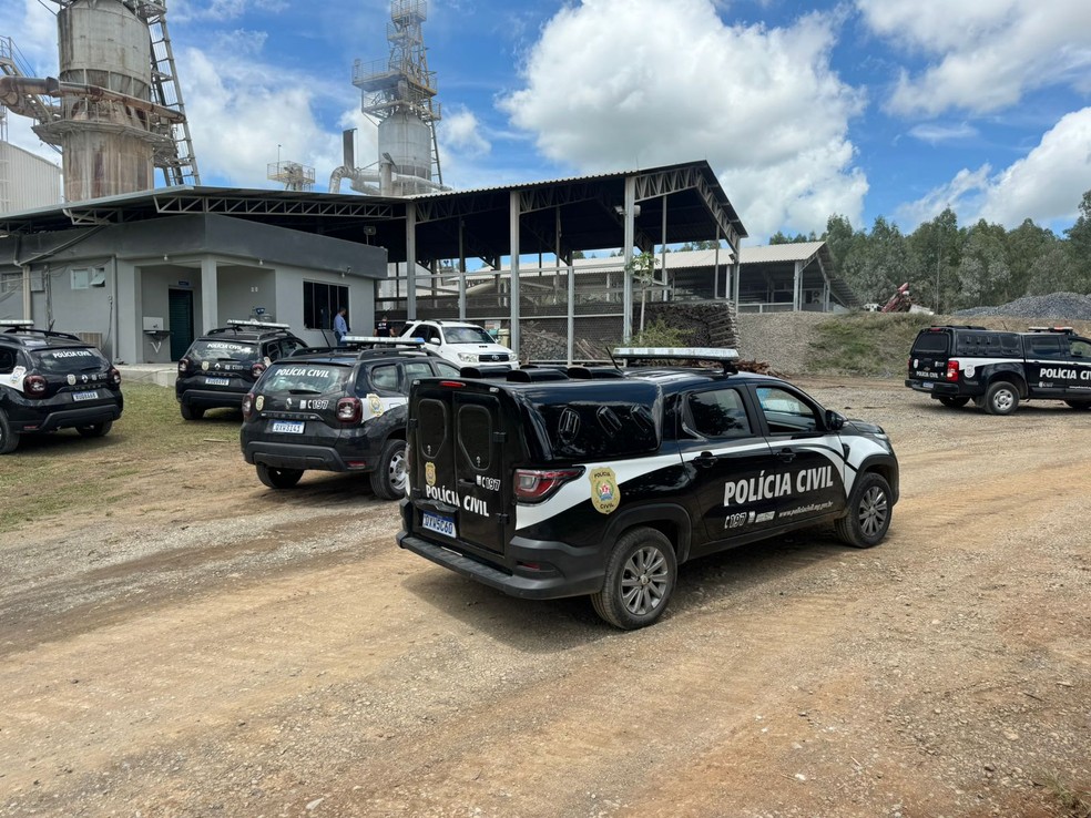 Polícia Civil incinera mais de 4 toneladas de maconha em Formiga — Foto: Polícia Civil/Divulgação