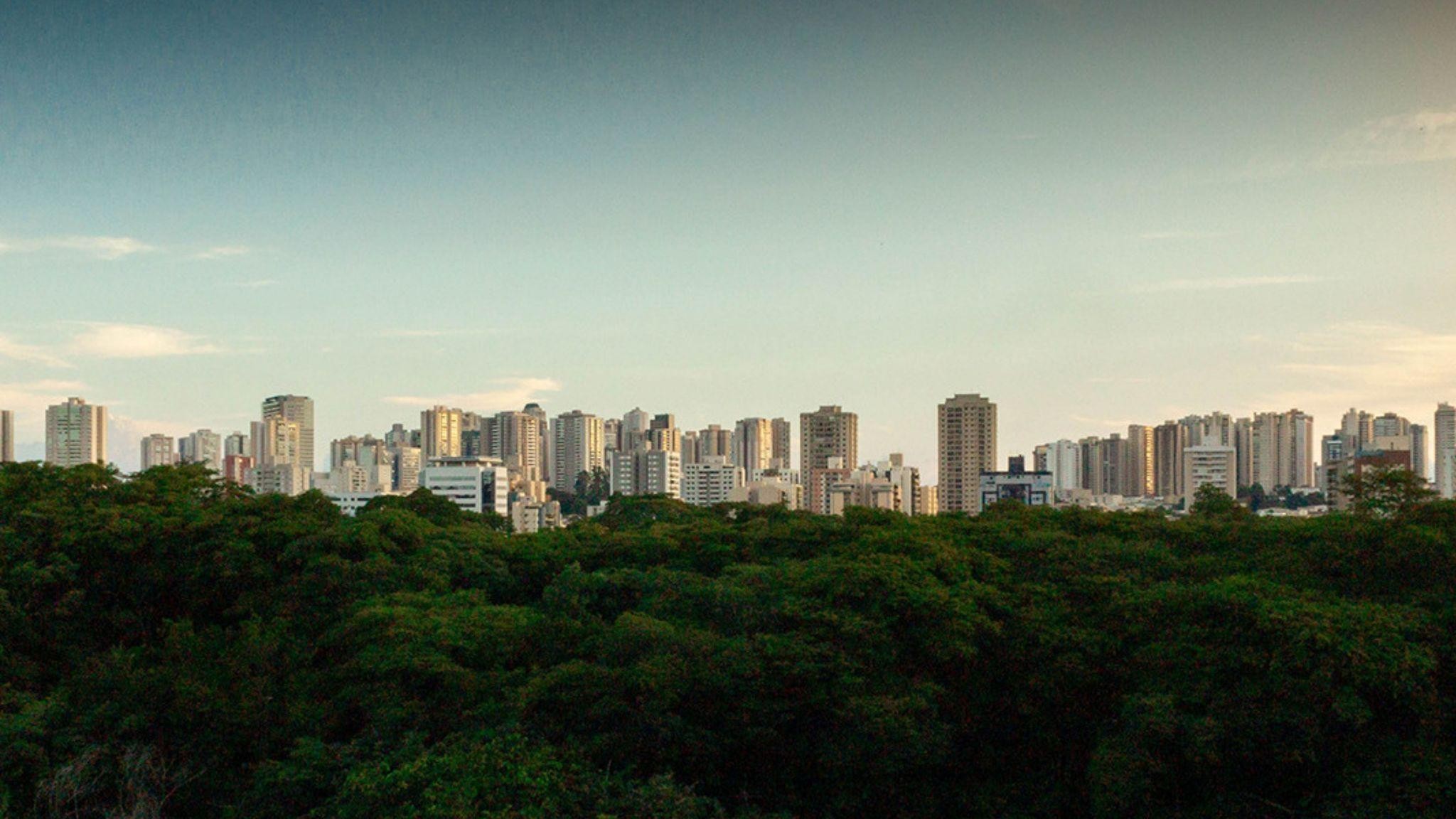 Com parque e cidade na porta, Alma Panamby valoriza entorno do Curupira